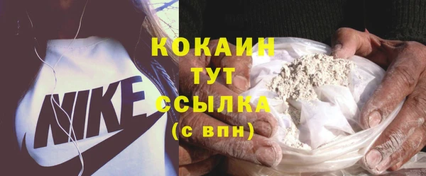 индика Армянск