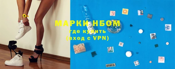 индика Армянск